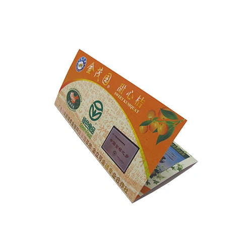 Colorful Customized Logo Printing Recyclable High Quality Paper Brochure